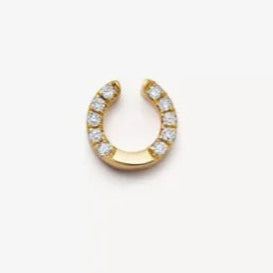 Lucky Horseshoe